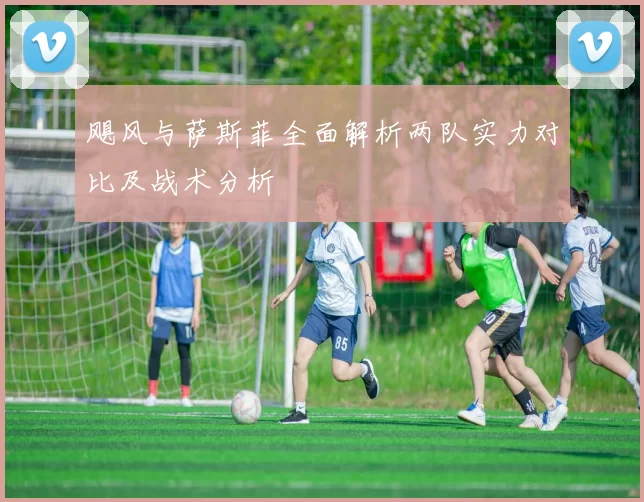飓风与萨斯菲全面解析两队实力对比及战术分析