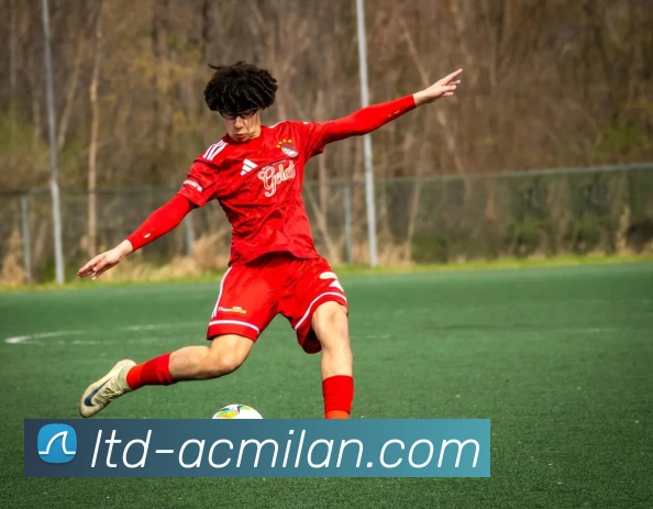 ac米兰服务体系